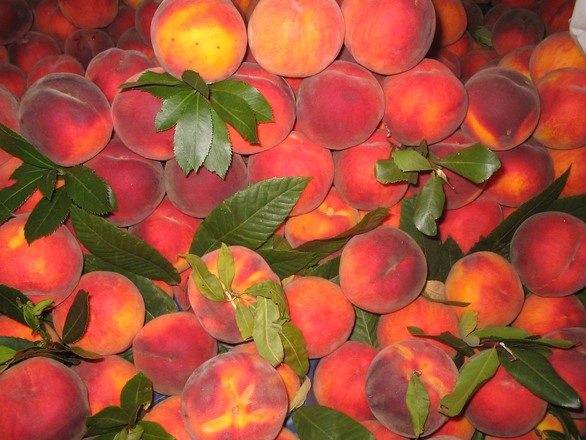 A melegben finom nyers levesek titka A melegben finom nyers levesek titka