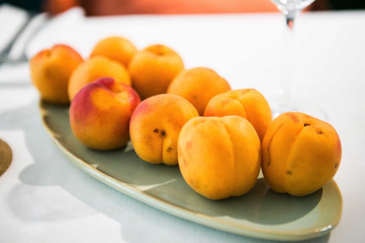 Ezt rejti a barack! JÖN Abaúj reneszánsza Ezt rejti a barack! JÖN Abaúj reneszánsza