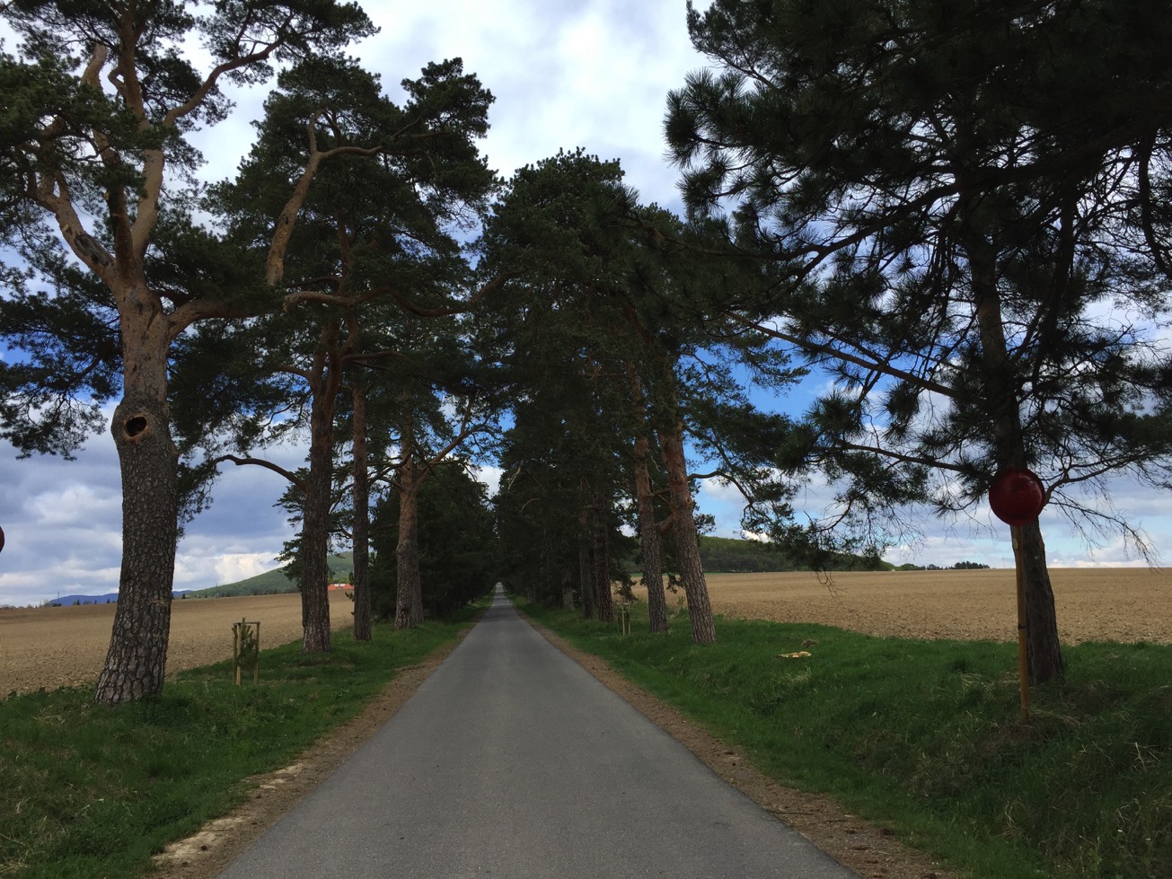 Az elrejtett kastély meglepő titka Az elrejtett kastély meglepő titka