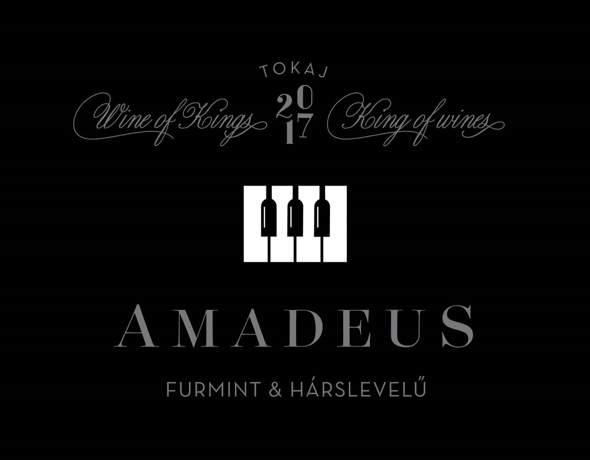 Borban a zene! Rendhagyó szőlőtermesztés Magyarországon Borban a zene! Rendhagyó szőlőtermesztés Magyarországon