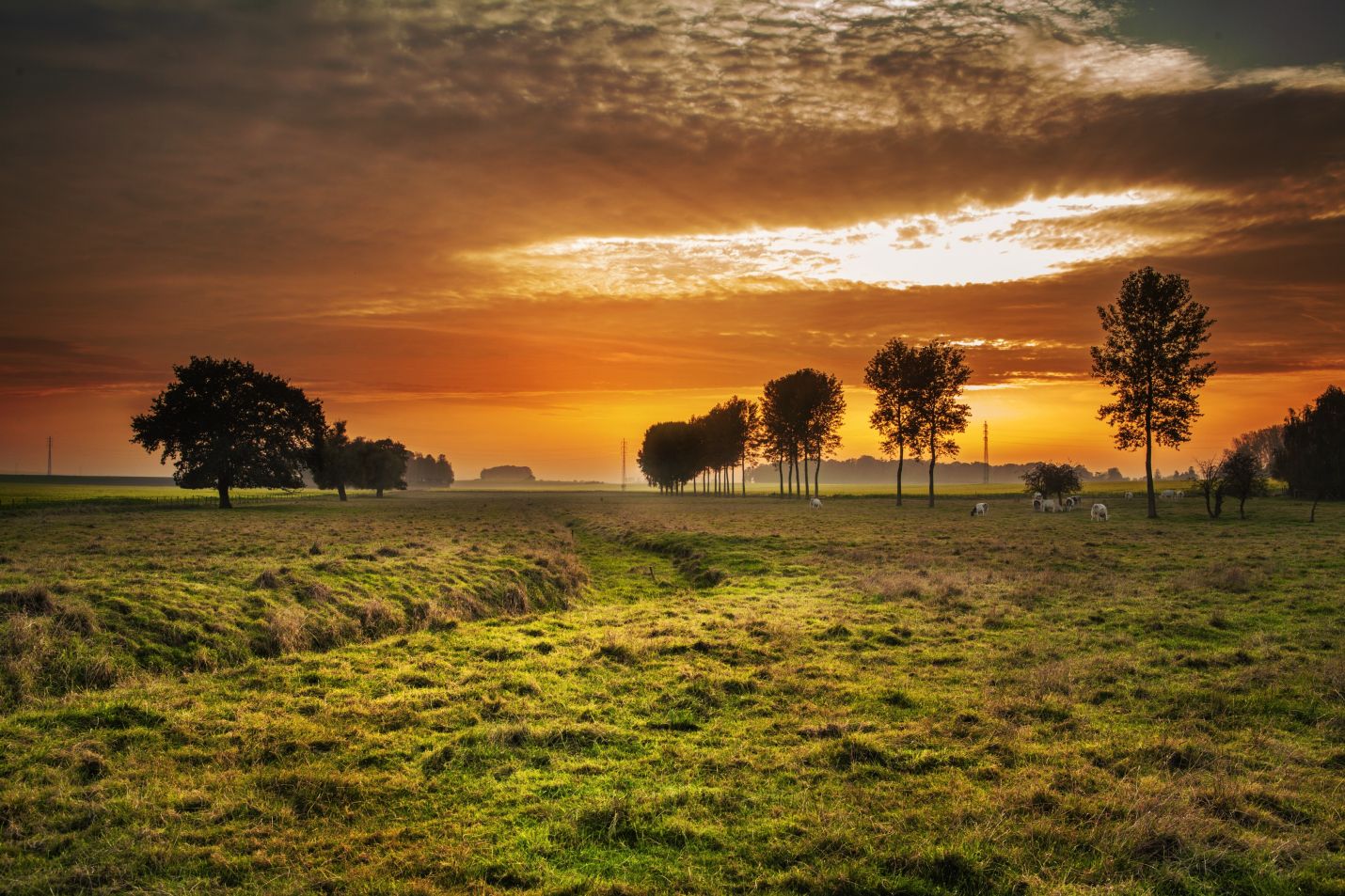 Ezt járd végig! A csodás El Camino Ezt járd végig! A csodás El Camino