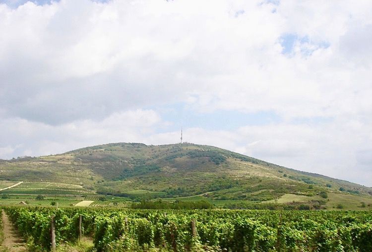 Tokaj látképe