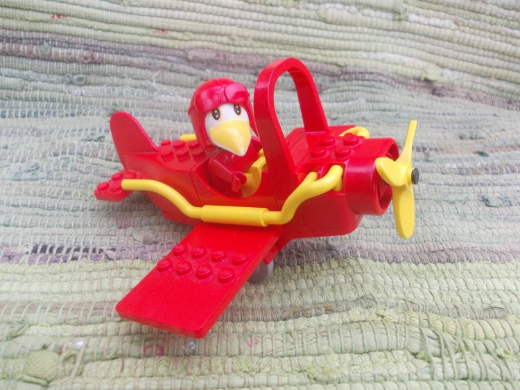 Nem sok repülőgép készült. Az egyik pilótája egy albatrosz